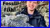 Fossil_Fish_Fossil_Hunting_Episode_01_yf