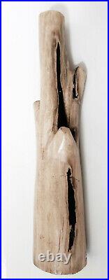 Fossil Wood Petrified BAMBOO branch 36 cm x 8 7 cm, weight 2.2 kg East Java