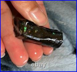Fossilized Wood Opal