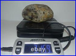 Fossilized wood From Wyoming 3lb 15 Oz Beautiful Fossilized Wood