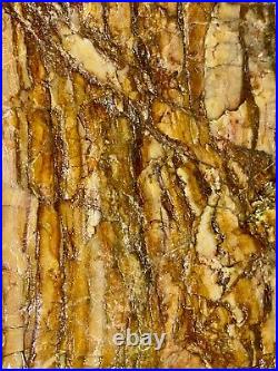 Giant Solid Agatized Petrified Log Round 40+ Lbs Stunning Striped Pattern