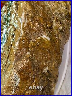 Giant Solid Agatized Petrified Log Round 40+ Lbs Stunning Striped Pattern