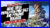 Giant_Trees_Himalayan_Pink_Salt_And_Pyramid_Builders_Conspiracy_Pilled_S4_Ep21_01_iei