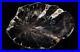 Giant_old_Hermanophyton_round_rare_petrified_wood_from_McElmo_Colorado_01_ea