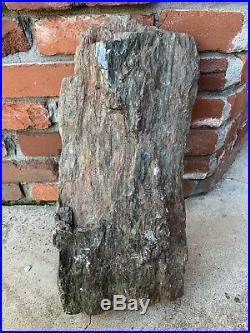 Gorgeous 32 Lb Petrified Wood ROCK/ Log Louisiana Red River FREE SHIPPING 21x9x3