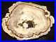 Gorgeous_PETRIFIED_WOOD_FULL_ROUND_Over_6_across_Old_collection_piece_1_lb_1_oz_01_nbaw