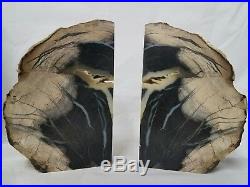 Gorgeous Petrified Wood Rock Bookends Gray Black Browns Cream White Colors