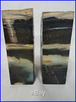 Gorgeous Petrified Wood Rock Bookends Gray Black Browns Cream White Colors