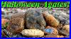 Gorgeous_Surprise_Green_Moss_Agate_Rockhounding_For_Agates_Jaspers_And_More_On_Halloween_01_vz