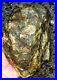 Great_Piece_Of_Rough_Natural_Cryptocrystalline_Petrified_Agatized_Wood_Specimen_01_sh