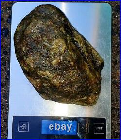Great Piece Of Rough Natural Cryptocrystalline Petrified Agatized Wood Specimen