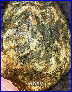 Great Piece Of Rough Natural Cryptocrystalline Petrified Agatized Wood Specimen