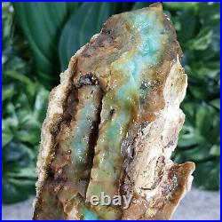 Green Blue Opalized Petrified Wood Indonesia Raw Rough Fossilized Wood Stone
