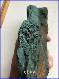 Green Hampton Butte Petrified Wood Specimen an Old Oregon Collection 1008 grams