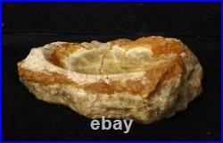 HUGE 10 lb 13 oz Polished Petrified Wood Fossil Trinket Dish Ash Tray Bowl 12x9