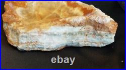 HUGE 10 lb 13 oz Polished Petrified Wood Fossil Trinket Dish Ash Tray Bowl 12x9