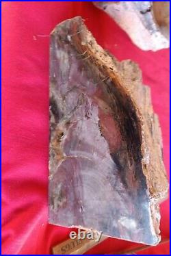 HUGE PETRIFIED WOOD BOOKENDS. Brilliant Colors. 19+lbs 6 x 7 x 4