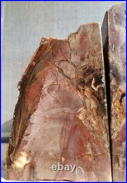 HUGE PETRIFIED WOOD BOOKENDS. Brilliant Colors. 19+lbs 6 x 7 x 4
