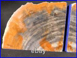 HUGE Pair! Triassic Era Arizona Petrified RAINBOW Wood Fossil Bookends! 9640gr