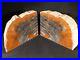HUGE_Pair_of_Arizona_Petrified_RAINBOW_Wood_Fossil_Bookends_21_Pounds_01_bc