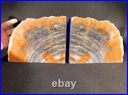 HUGE Pair of Arizona Petrified RAINBOW Wood Fossil Bookends! 21 Pounds