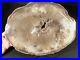 HUGE_Polished_Petrified_PALM_Fossil_From_Texas_With_Display_Stand_4160gr_01_cui