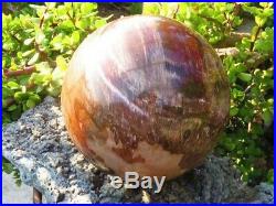 HUGE Polished Petrified Wood Sphere Almost 20 lbs