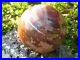 HUGE_Polished_Petrified_Wood_Sphere_Almost_20_lbs_01_ffh