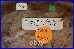 Hampton Butte Plume round! SUPER RARETop Shelf