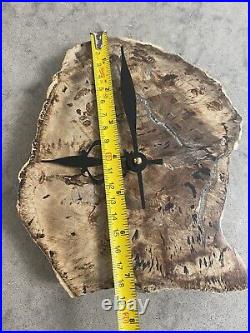 Hand Crafted One of a Kind Petrified Wood Clock Takane Movement Made in USA