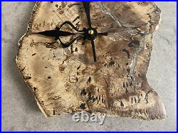 Hand Crafted One of a Kind Petrified Wood Clock Takane Movement Made in USA