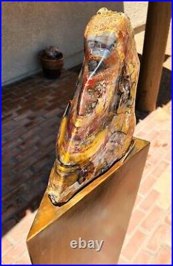 Handcrafted mirror contour polished Arizona rainbow petrified wood display