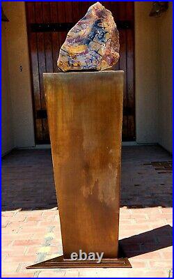 Handcrafted mirror contour polished Arizona rainbow petrified wood display