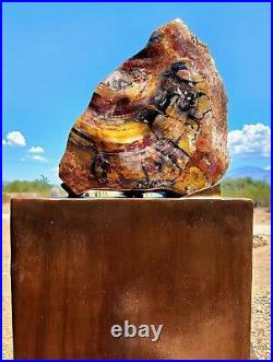 Handcrafted mirror contour polished Arizona rainbow petrified wood display