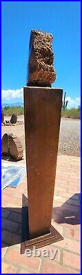 Handcrafted mirror contour polished Arizona rainbow petrified wood display