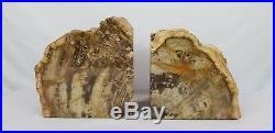 Heavy Petrified Wood Bookends Over 20 Pounds