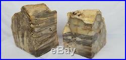 Heavy Petrified Wood Bookends Over 20 Pounds