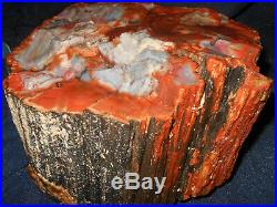 Highest Quality Arizona Rainbow Petrified Wood Rough FULLRND CRYSTAL 29lbs BIN6