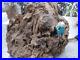 Hobbies_collectible_Large_Petrified_Wood_1602757_11_01_ew