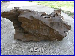Hollowed Out Petrified Wood from Egypt