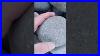 How_Do_I_Know_There_S_A_Fossil_In_A_Rock_Short_Fossil_01_ktww