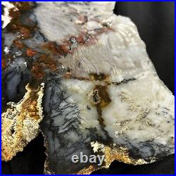 Hubbard Basin 10 Petrified Wood Slab DEEP BLUES