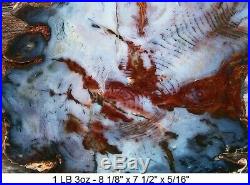 Hubbard Basin Gnarly Bark Purplish Blue, Red, Petrified Wood 99% Full Round Slab