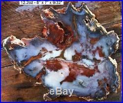Hubbard Basin Gnarly Bark Purplish Blue, Red, Petrified Wood Full Round Slab
