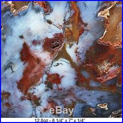 Hubbard Basin Gnarly Barked & Colors Agatized Petrified Wood 95% Full Round Slab