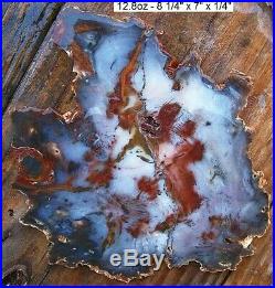 Hubbard Basin Gnarly Barked & Colors Agatized Petrified Wood 95% Full Round Slab
