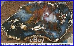 Hubbard Basin, Nevada Blue Agatized Petrified Wood Full Round Slab
