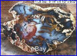 Hubbard Basin Rare Colors Agatized Petrified Wood 99% Full Round Slab Gorgeous