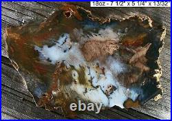 Hubbard Basin Super Colors Agatized Petrified Wood Slab Gorgeous