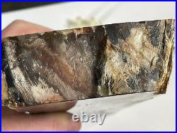 Huge 6.9lbs Polished, Juniper Petrified Wood Cross Section from Northern Nevada